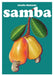 Samba: A Celebration of Brazilian Cuisine by Giselle Makinde