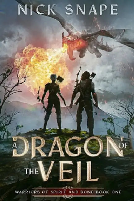 A Dragon of the Veil: A Dark Epic Fantasy by Snape, Nick