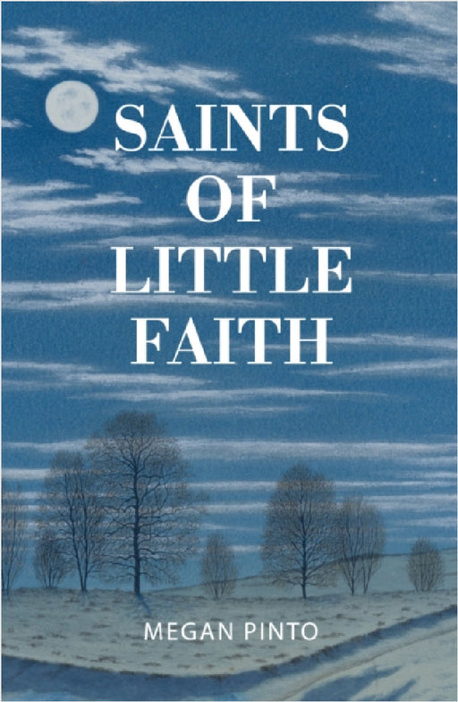 Saints of Little Faith by Megan Pinto