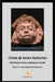 Chats @ Asian Galleries: 106 Notes from a Museum Guide by Peter H. Hufschmid-Hirschbuehl