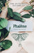 Phalene by Jennifer Adair