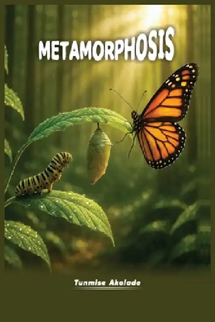Metamorphosis by Tunmise Akolade