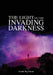 The Light in the Invading Darkness by Daniel Big Plume