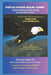 SPIRITUAL WARRIOR HEALING JOURNEY Stories Behind the Songs DIVING DEEP SERIES by Campbell, Ursula Katie