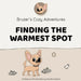 Bruzer's Cozy Adventures: Finding The Warmest Spot by Aimee Pozzolo