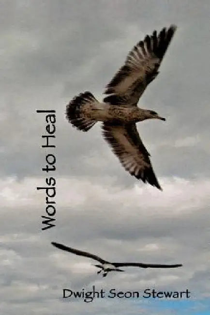 Words to Heal by Dwight Seon Stewart