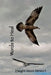 Words to Heal by Dwight Seon Stewart
