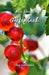 Mein kleines Gartenbuch: : Obst und Gemüse - Garten-Tagebuch für Hobbygärtner und Gartenfreunde - Gartenbuch selbst schreiben - Geschenk für Ga by Gartengluck