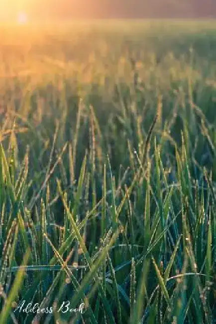 Address Book: For Contacts, Addresses, Phone, Email, Note, Emergency Contacts, Alphabetical Index With Morning Sunshine Lush Green Fields Background by Shamrock Logbook