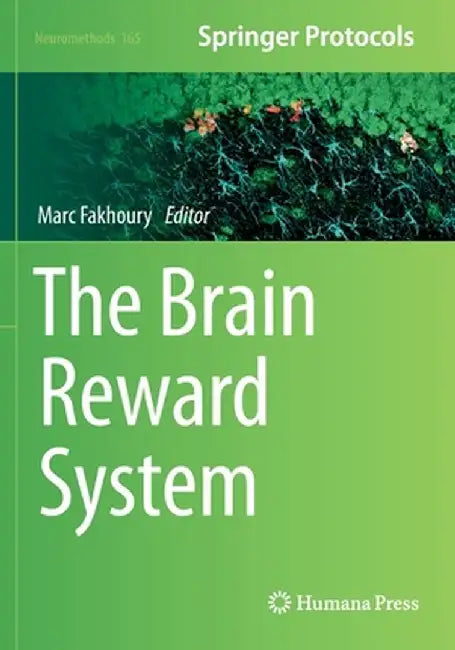 The Brain Reward System by Marc Fakhoury