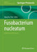 Fusobacterium Nucleatum: Methods and Protocols by Hung Ton-That