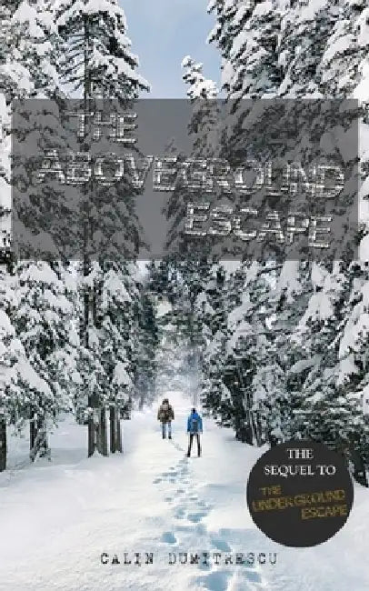 The Aboveground Escape by Xuejun Zang
