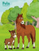 Pets Coloring Book 1 & 2 by Nick Snels