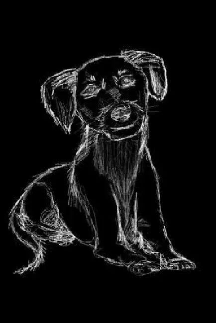 Hundetagebuch: das Erinnerungsbuch für die Zeit von Dir und deinem treuen Vierbeiner, dem besten Freund des Menschen. Dein geliebtes by Rolands Hundeschule