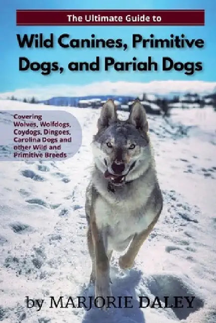 The Ultimate Guide to Wild Canines, Primitive Dogs, and Pariah Dogs: An Owner's Guide Book for Wolfdogs, Coydogs, and Other Hereditarily Wild Dog Bree by Marjorie Daley
