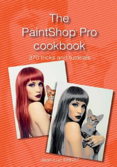 The PaintShop Pro cookbook by Jean-Luc Ernst