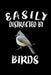 Easily Distracted By Birds: Animal Nature Collection by Marko Marcus