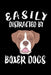 Easily Distracted By Boxers: Animal Nature Collection by Marko Marcus