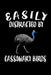 Easily Distracted By Cassowary Birds: Animal Nature Collection by Marko Marcus
