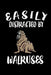 Easily Distracted By Walruses: Animal Nature Collection by Marko Marcus