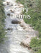 Power and Control: Breaking the Bonds of Intimate Partner Violence through the Lens of People Addiction by Kerry Dennis