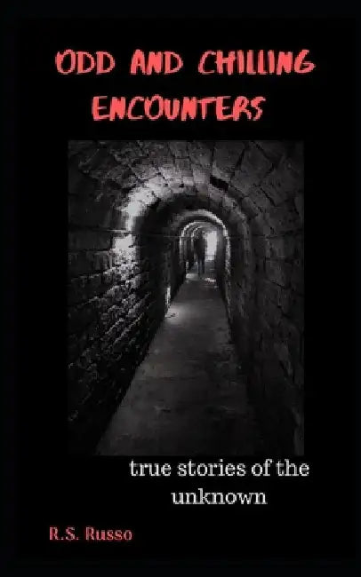 Odd and Chilling Encounters: True stories of the unknown by R. S. Russo