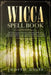 Wicca Spell Book: Discover Spells for Healing, Wellbeing, Abundance, Wealth, Prosperity, Love and Relationships. A New and Improved Vers by Judith Guise