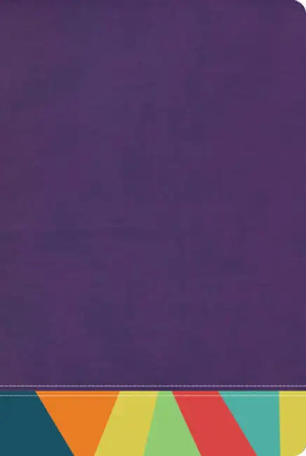 Rvr 1960 Biblia de Estudio Arco Iris, Morado/Multicolor by B&h Espanol Editorial