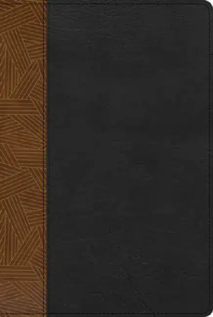 Rvr 1960 Biblia de Estudio Arcoiris, Tostado/Negro Símil Piel Con Índice by B&h Español Editorial