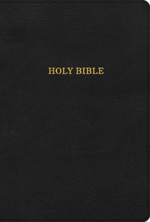 KJV Large Print Thinline Bible, Black Leathertouch by Holman Bible Publishers