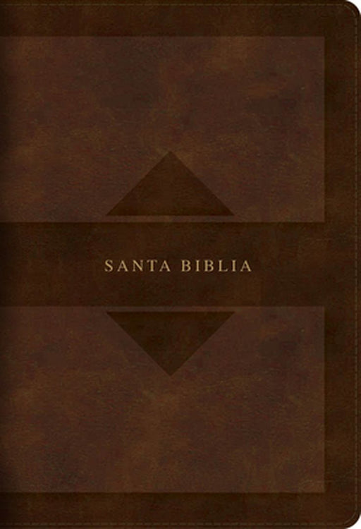 Rvr 1960 Hand Size Giant Print Bible with Holy Land Images, Brown Leathertouch Mass Market Edition by B&h Español Editorial