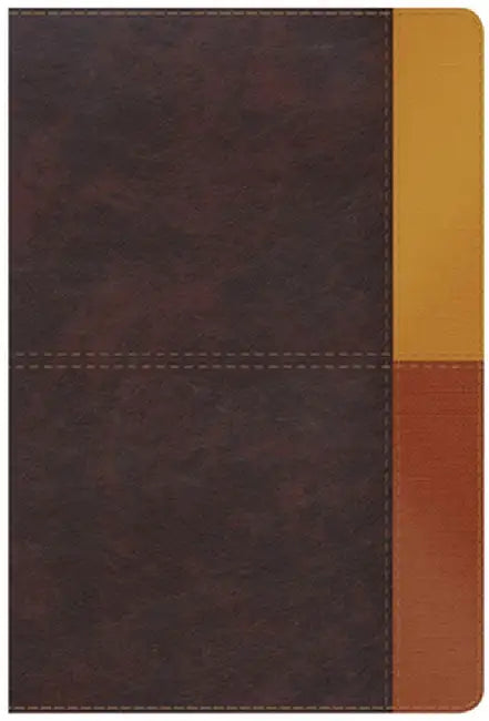 Rvr 1960 Biblia de Estudio Arcoiris, Gris Pizarra/Oliva Símil Piel Con Índice by B&h Español Editorial