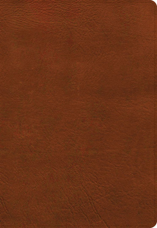 NASB Super Giant Print Reference Bible, Burnt Sienna Leathertouch by Holman Bible Publishers