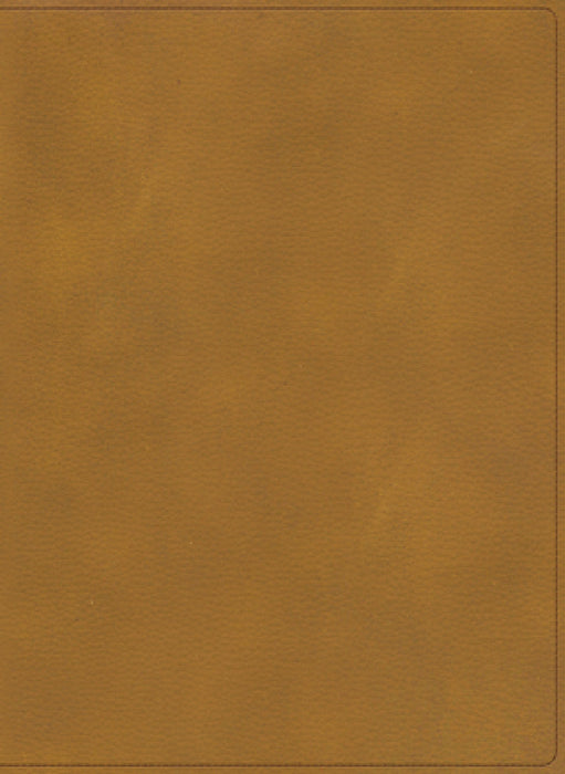 Rvr 1960 Biblia Ilustrada de la Tierra Santa, Café Símil Piel by B&h Español Editorial, Emanuel Elizondo