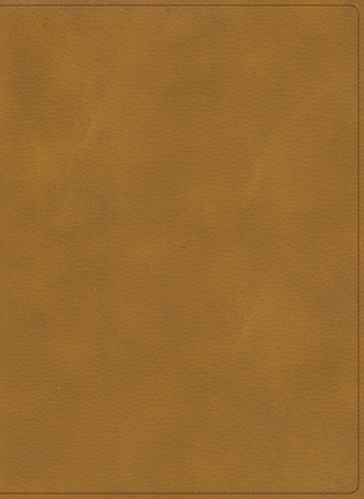 Rvr 1960 Biblia Ilustrada de la Tierra Santa, Café Símil Piel by B&h Español Editorial, Emanuel Elizondo