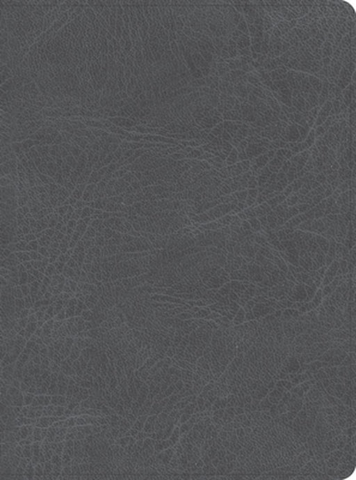 CSB He Reads Truth Bible, Smoke Leathertouch, Indexed by Csb Bibles by Holman