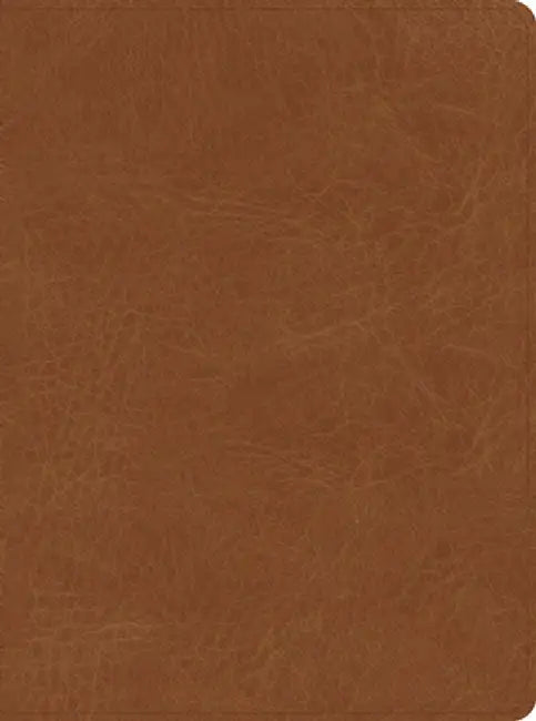 CSB He Reads Truth Bible, Saddle Leathertouch, Indexed by Csb Bibles by Holman