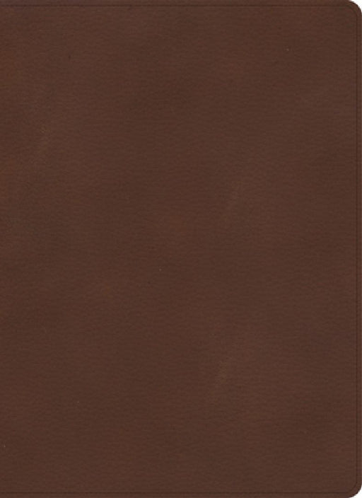 KJV Single-Column Wide-Margin Bible, Brown Leathertouch by Holman Bible Publishers
