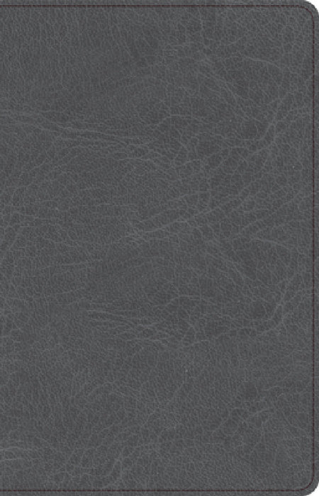 CSB Thinline Bible, Charcoal Leathertouch by Csb Bibles by Holman