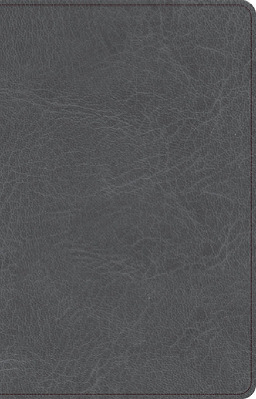 CSB Thinline Bible, Charcoal Leathertouch by Csb Bibles by Holman