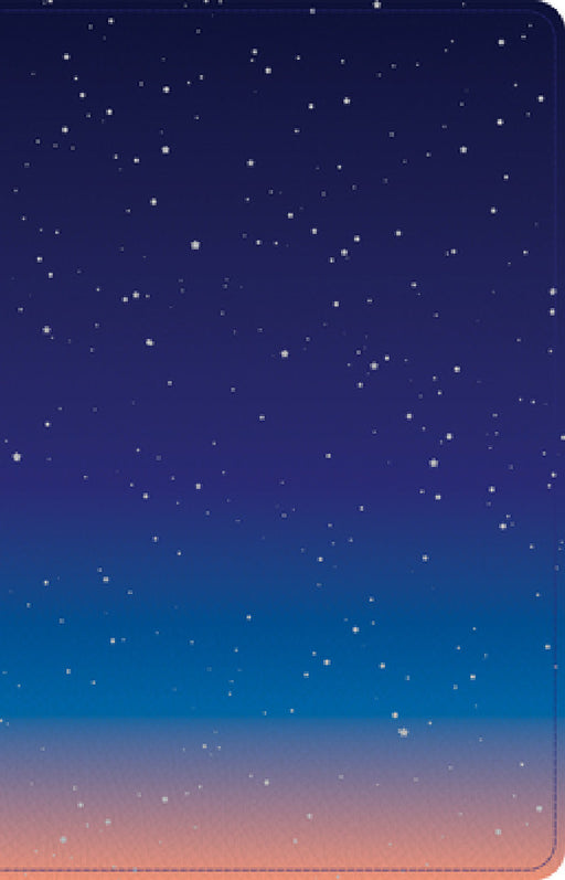 CSB Kids Bible, Thinline Edition, Space Leathertouch by Csb Bibles by Holman