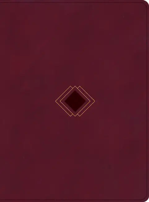 CSB Day-By-Day Chronological Bible, Burgundy Leathertouch by George H. Guthrie