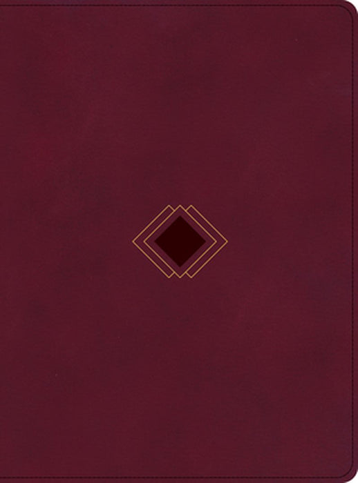 CSB Day-By-Day Chronological Bible, Burgundy Leathertouch by George H. Guthrie