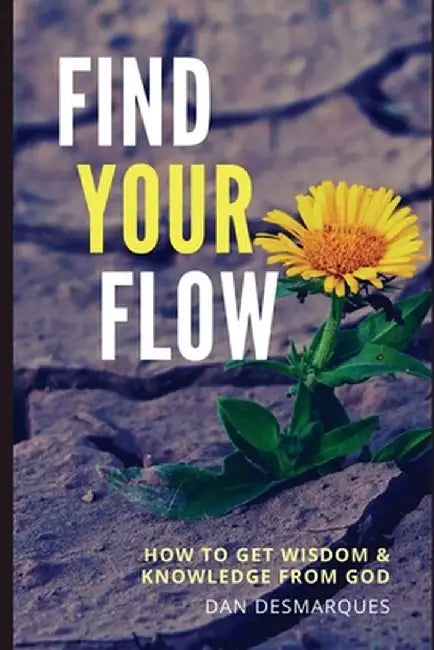 Find Your Flow: How to Get Wisdom and Knowledge from God by Dan Desmarques