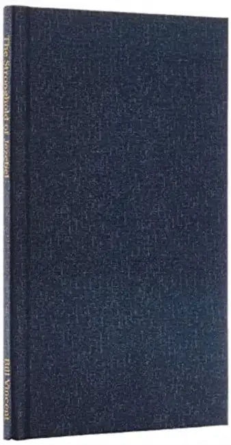 The Stronghold of Jezebel: A True Story of a Man's Journey by Bill Vincent