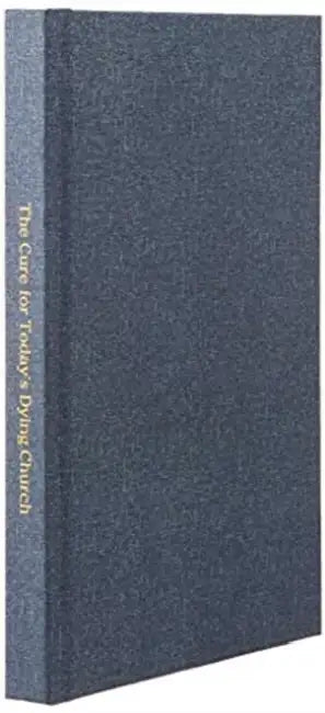 The Cure for Today's Dying Church: The Wellspring of Life by Meyer Janse Van Rensburg
