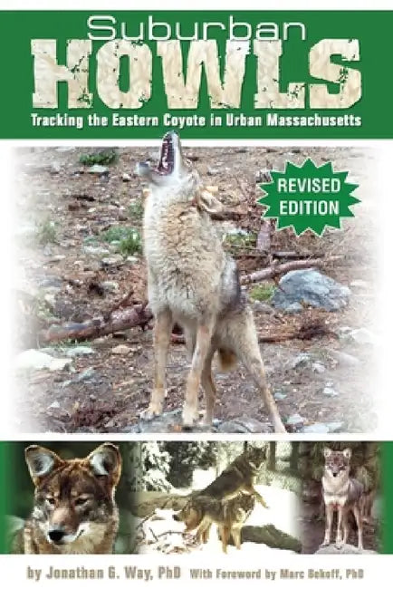 Suburban Howls: Tracking the Eastern Coyote in Urban Massachusetts by Jonathan G. Way