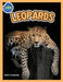 The Amazing World of Leopards Booklet with Activities ages 4-8 by Beth Costanzo