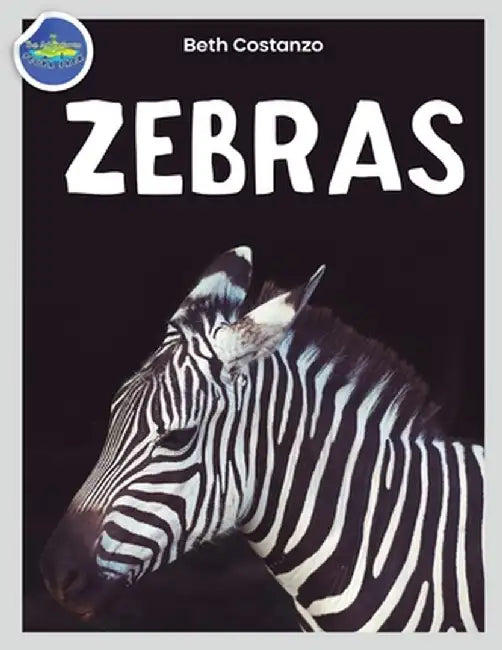 Zebra Activity Workbook ages 4-8 by Beth Costanzo