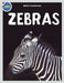Zebra Activity Workbook ages 4-8 by Beth Costanzo